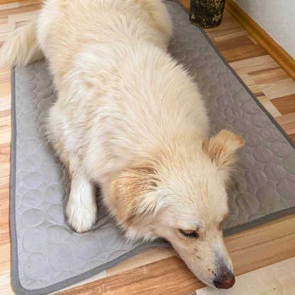 CoolingMat - Hundekühlmatte