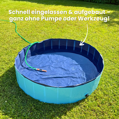 DogSplash - Hundepool